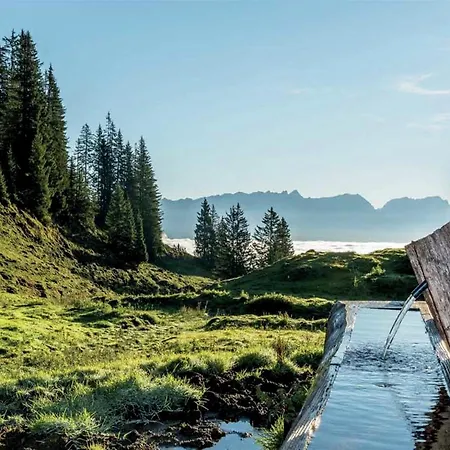 In Near Slopes アパート ピーゼンドルフ