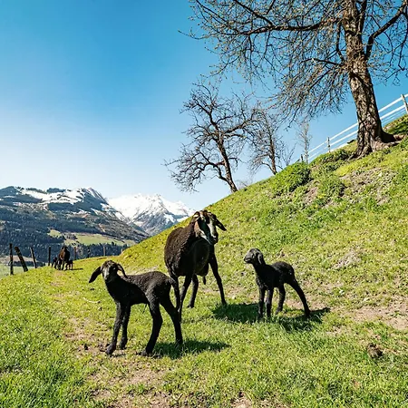 Apartamento In Near Slopes Piesendorf