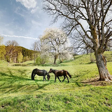 In Near Slopes Piesendorf