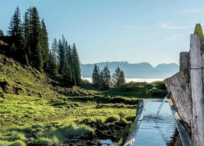 In Near Slopes アパート ピーゼンドルフ